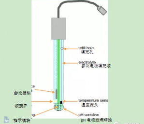 PH電極結(jié)構(gòu)