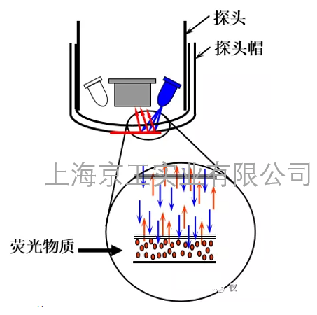 溶氧儀測(cè)量原理