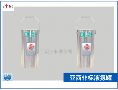 亞西非標小型液氮罐