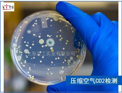 壓縮空氣微生物檢測(cè)