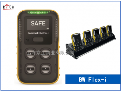 BW FLEX4四合一氣體檢測(cè)儀 上海 標(biāo)定校準(zhǔn)